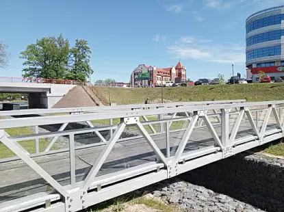 Модель Мост в парке Черняховска из Пешеходные мосты Модель Мост в парке Черняховска
