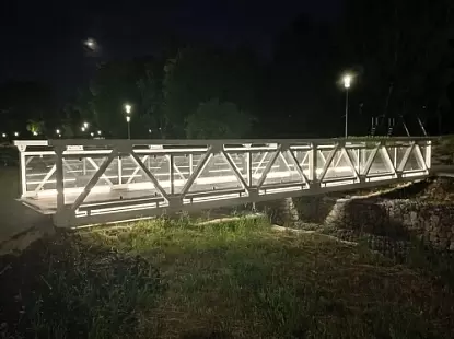 Модель Мост в парке Черняховска из Пешеходные мосты Модель Мост в парке Черняховска